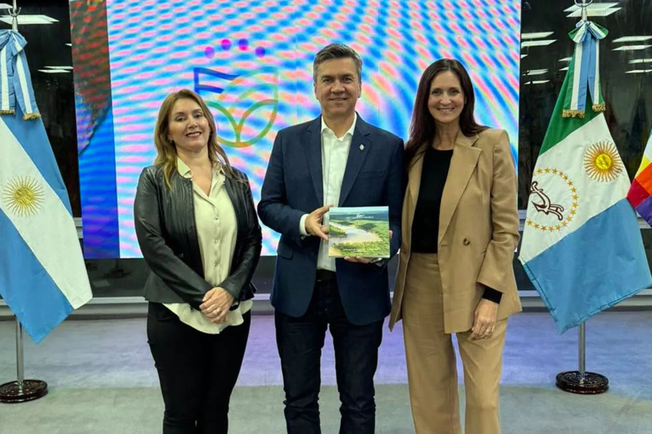 WhatsApp Image 2024-07-25 at 17.26.04