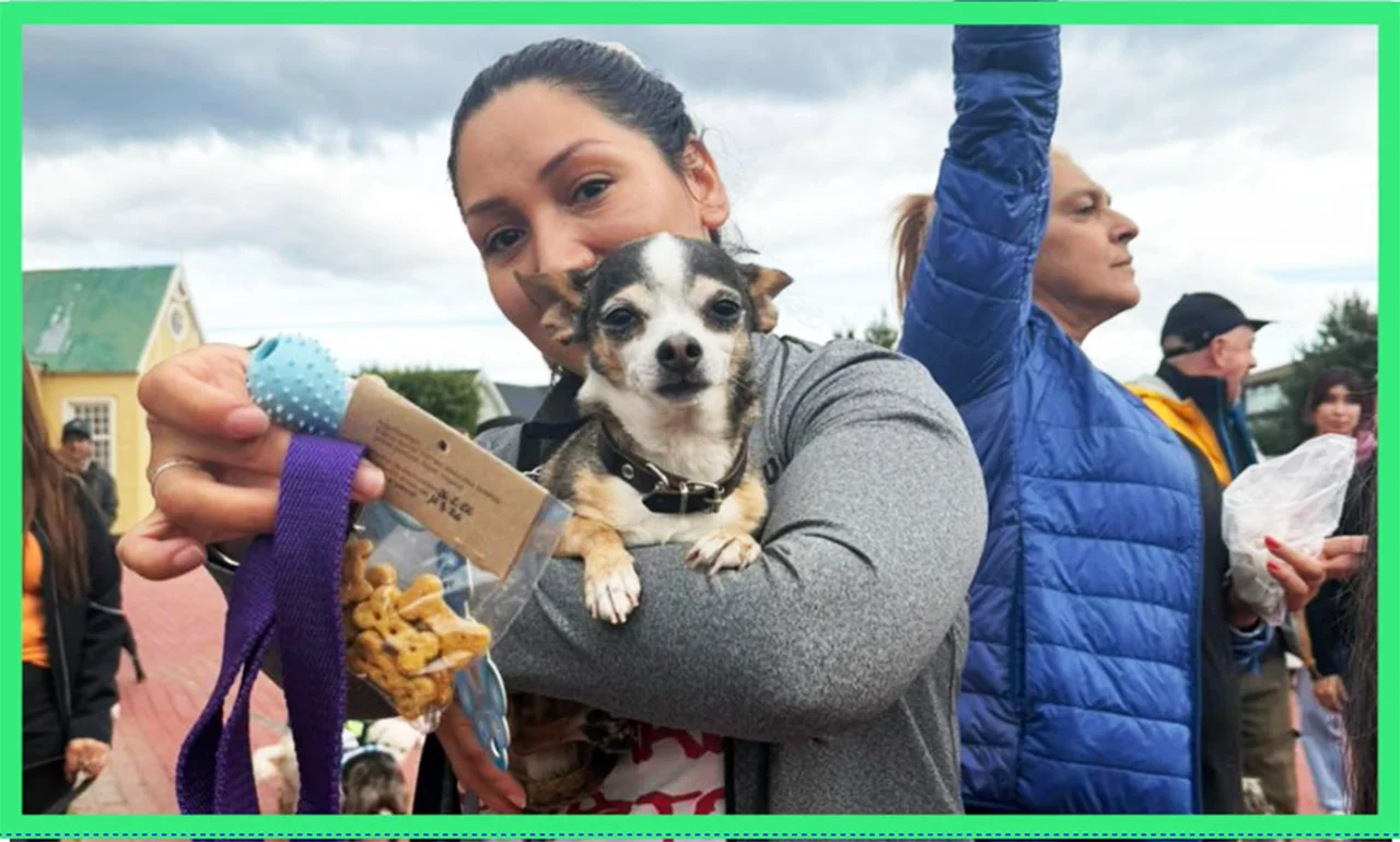 WhatsApp Image 2026-03-04 at 13.29.02