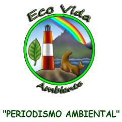ecovida ambiente